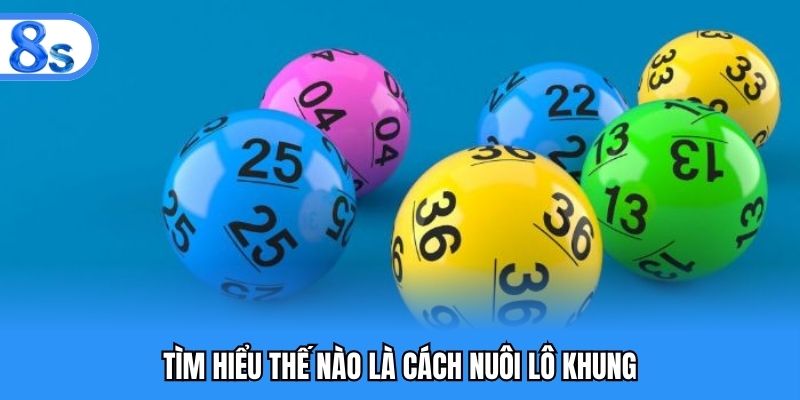 Tìm hiểu đôi nét thông tin về cách nuôi lô khung