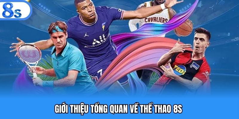 Đôi nét khái quát về danh mục thể thao 8s 