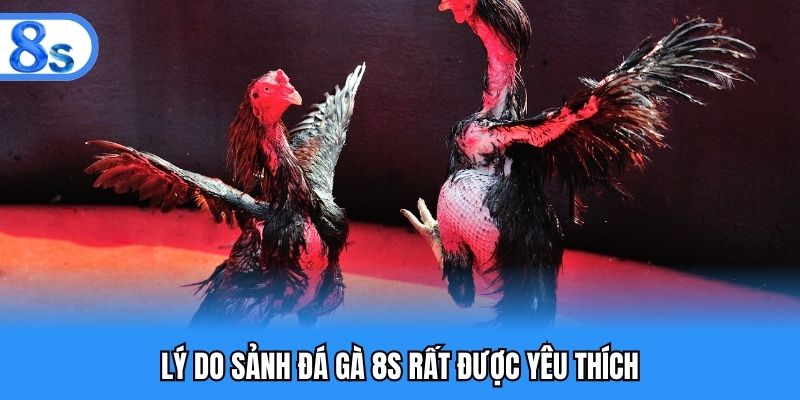 Lý do sảnh đá gà 8S rất được yêu thích