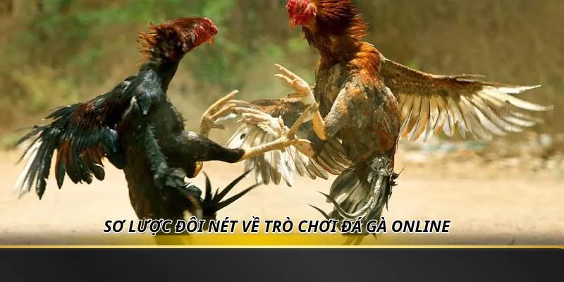 Sơ lược đôi nét về trò chơi đá gà online